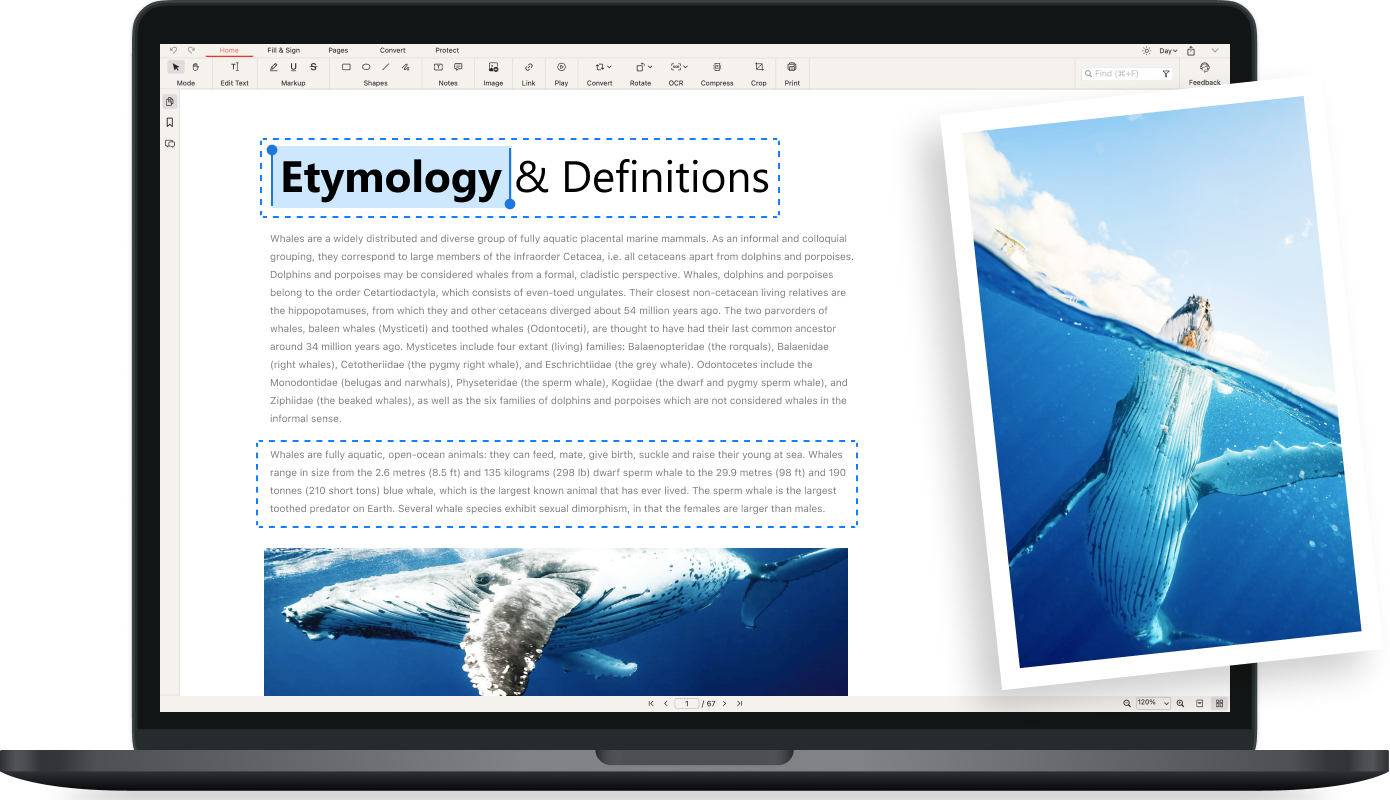 PDFgear Modifica PDF